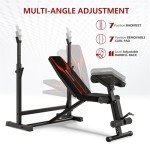 Adjustable Weight Bench with Squat & Curl Rack