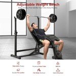 Adjustable Weight Bench with Squat & Curl Rack