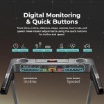 Sunny Health & Fitness Foldable Auto Incline Treadmill