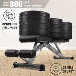 RitFit Adjustable Folding Dumbbell Bench for Home Fitness