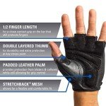 Harbinger Power Workout Weightlifting Gloves - Medium