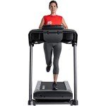 Schwinn Fitness 810 Black Treadmill for Home Use