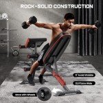 Adjustable Weight Bench Press for Home Gym