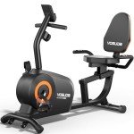 YOSUDA Recumbent Exercise Bike for Home Fitness