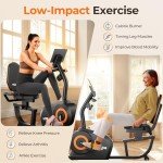 YOSUDA Recumbent Exercise Bike for Home Fitness