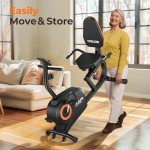 YOSUDA Recumbent Exercise Bike for Home Fitness