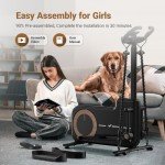 Compact Home Elliptical Machine with MERACH App