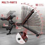 Adjustable Weight Bench with Leg Curl & Extension