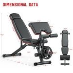 Adjustable Weight Bench with Leg Curl & Extension