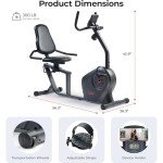 Sunny Health Recumbent Smart Bike with Bluetooth App