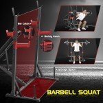 900LBS Weight Bench Set with Squat Rack