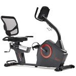 Sunny Health & Fitness Recumbent Exercise Bike with App