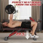 Adjustable Weight Bench with Leg Extension & Preacher Pad