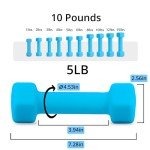 Portzon Weights Dumbbells 10 Colors Options Compatible with Set of 2 Neoprene Dumbbells Set,1-15 LB, Anti-Slip, Anti-roll, Hex Shape Blue
