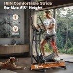 Niceday Elliptical Exercise Machine, Elliptical Machine for Home Use, Magnetic Elliptical Trainer with 18IN Stride, 16 Resistance Levels, 400LBS Loading Capacity, Support Kinomap APP Black