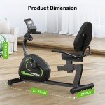 Caromix Recumbent Exercise Bike for Adults Seniors, Stationary Bike for Home with Comfortable Seat and Heart Rate Handle, Magnetic Resistance Indoor Cycling Bike with 300LBS for Cardio Workout (Black)