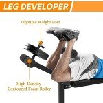 Rigel Adjustable Olympic Weight Bench Foldable Multipurpose Bench with Leg Extension and Curl for Home Gym Workouts