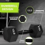 Fitvids Rubber Encased Exercise & Fitness Hex Dumbbell, Hand Weights with Anti-Slip Metal Handle for Home Gym, Multiple Sizes, 10LB Pair