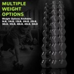 Fitvids Rubber Encased Exercise & Fitness Hex Dumbbell, Hand Weights with Anti-Slip Metal Handle for Home Gym, Multiple Sizes, 10LB Pair