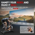 HARISON Exercise Bike, Stationary Bike for Home 350 lb Weight Capacity, Magnetic Workout Bike with Bluetooth App, Brake Pad Indoor Cycling Bike with Tablet Mount & Comfortable Seat Cushion