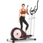 ANCHEER Elliptical Exercise Machine, Ultra-Silent Magnetic Elliptical Training Machines for Home Gym, 8 Resistance Levels Control with Pulse Rate Grips, LCD Monitor Max Capacity 380Lbs(Black)