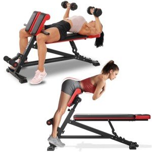 FLYBIRD 4 in 1 Workout Bench, Roman Chair, Weight Bench and Sit Up Bench for Hyper Back Extension and Full Body Workout with Handle, Abdomen core and Comprehensive Glute Training, Easy Moving wilth Wheels Home Gym Equipment