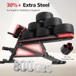 FLYBIRD 4 in 1 Workout Bench, Roman Chair, Weight Bench and Sit Up Bench for Hyper Back Extension and Full Body Workout with Handle, Abdomen core and Comprehensive Glute Training, Easy Moving wilth Wheels Home Gym Equipment