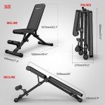 JOROTO MD35 Adjustable Weight Bench 8x4x3x2 Positions- 700 Pounds Load Foldable Strength Training Benches for Full Body Workout Bench Press (With Fast Auto-lock Adjustments)