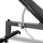 CAP Barbell Deluxe Utility Weight Bench, Gray (FM-CS804DX-GY)