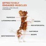 Lifepro PawRunner Dog Treadmill for Small & Medium Dogs, Pet Treadmill for Dogs up to 130lbs, Indoor Running Machine for Fitness, Compact & Durable Pacer Treadmill for Health and Exercise
