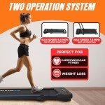 2 in 1 Portable Walking Pad Treadmill - at Home or Office Walking Pad Treadmill Under Desk with 12 Exercise Programs - Quiet, Lightweight and Folding for Small Spaces Indoor - 2.5 HP Black
