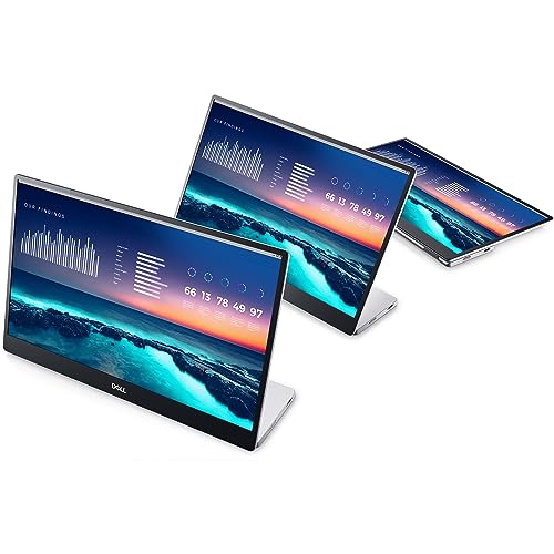 Dell 14-Inch FHD Dual-Screen Portable Monitor