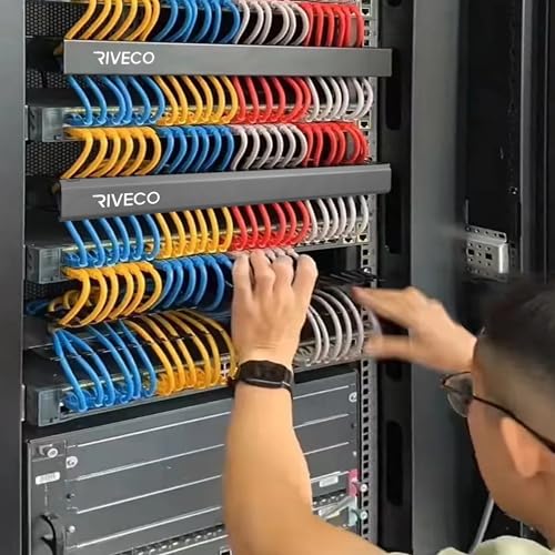 RIVECO 1U 12 Slot Cable Manager Rack Black