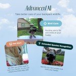 Solar Bird Feeder with Camera & Species ID