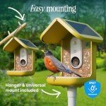 Solar Bird Feeder with Camera & Species ID