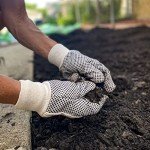 Wells Lamont Economy Canvas Work Gloves - 6 Pack