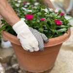 Wells Lamont Economy Canvas Work Gloves - 6 Pack