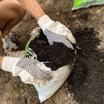 Wells Lamont Economy Canvas Work Gloves - 6 Pack