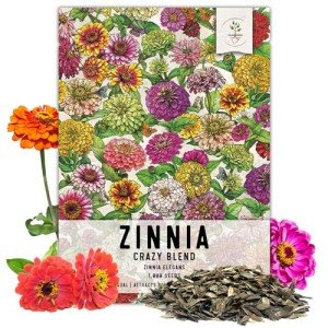 1,000+ Crazy Zinnia Seeds - Specialty Blend