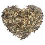 1,000+ Crazy Zinnia Seeds - Specialty Blend