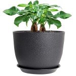 12-Inch Black Modern Planter with Drainage Saucer