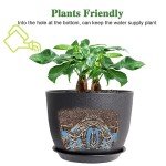 12-Inch Black Modern Planter with Drainage Saucer