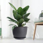 12-Inch Black Modern Planter with Drainage Saucer