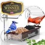 Window Bird Feeder with Strong Suction Cups
