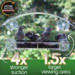 Window Bird Feeder with Strong Suction Cups
