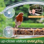 Window Bird Feeder with Strong Suction Cups