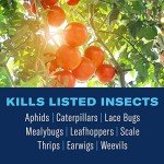 BioAdvanced Organic Insect Control for Gardens, 24 oz