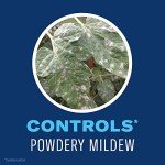 BioAdvanced Organic Insect Control for Gardens, 24 oz