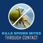 BioAdvanced Organic Insect Control for Gardens, 24 oz