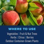 BioAdvanced Organic Insect Control for Gardens, 24 oz